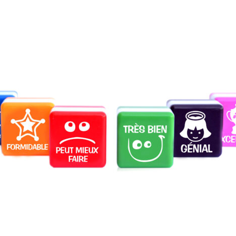 Set 6 sellos motivación en francés