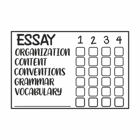 Sello Profesores ESSAY Manual
