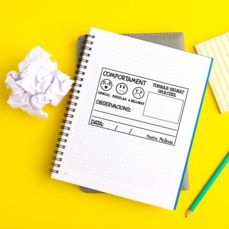 Sello Professors «Comportament» Manual